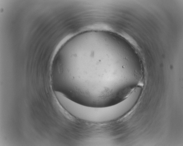 X0000061741248200512231452