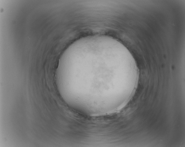 X0000061741249200512231451