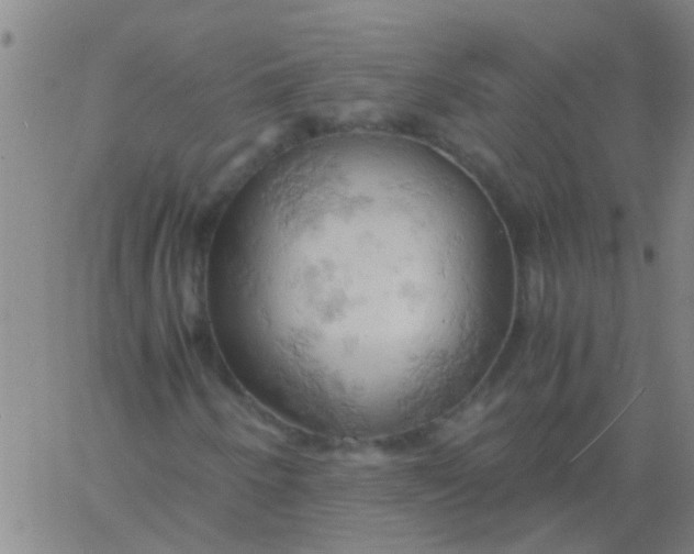 X0000061741250200512231451