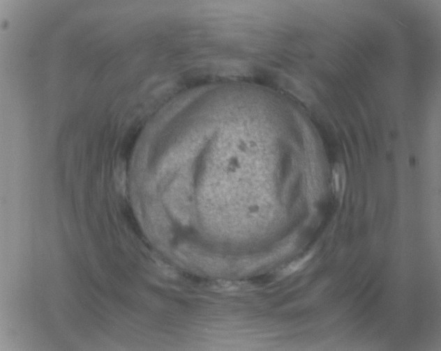 X0000061741251200512231451