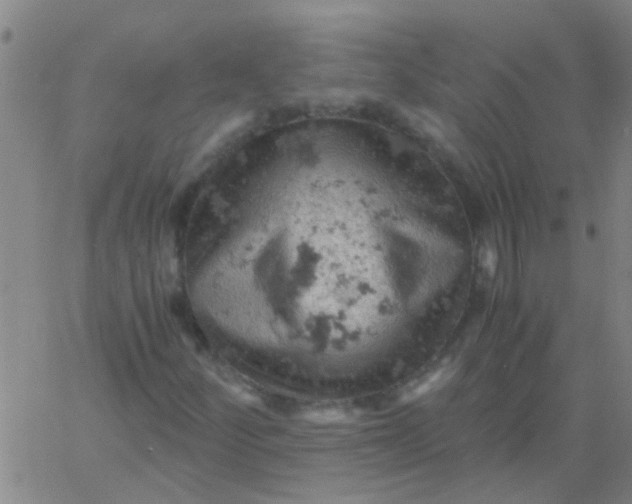 X0000061741252200512231451