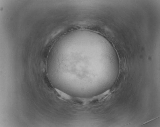 X0000061741253200512231451