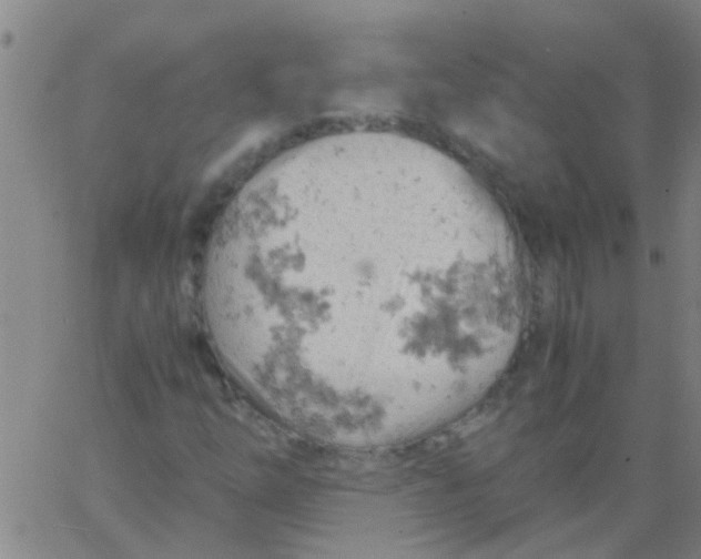 X0000061741254200512231451