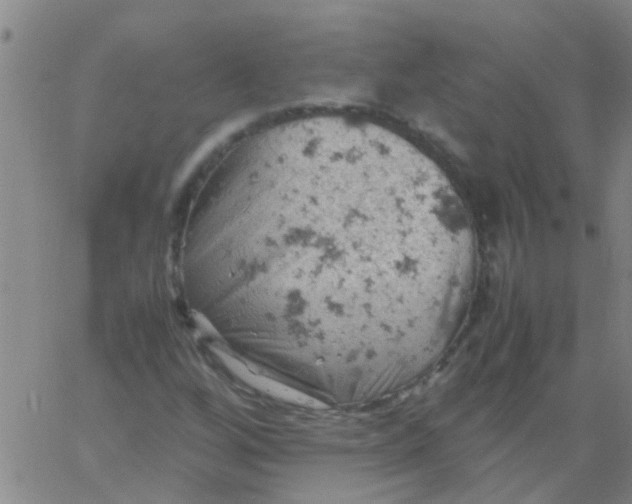 X0000061741256200512231451