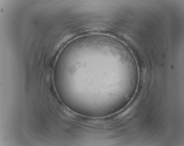 X0000061741257200512231451