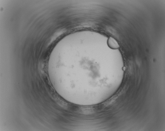 X0000061741258200512231451