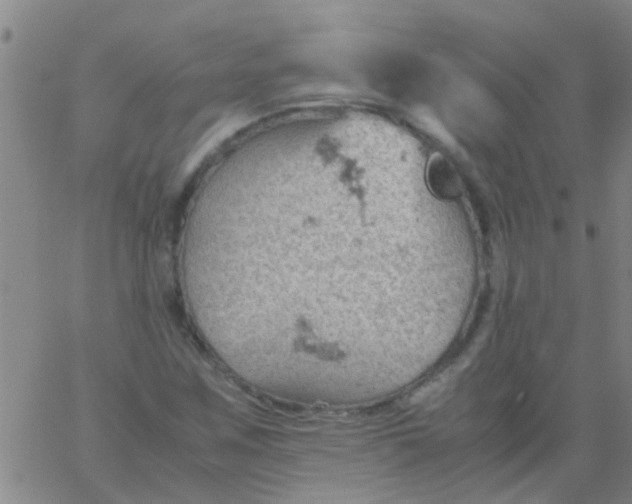 X0000061741259200512231451