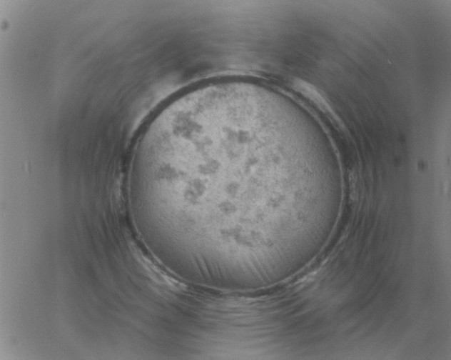 X0000061741260200512231451