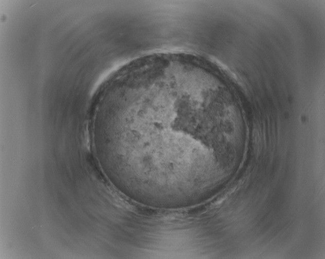 X0000061741262200512231451