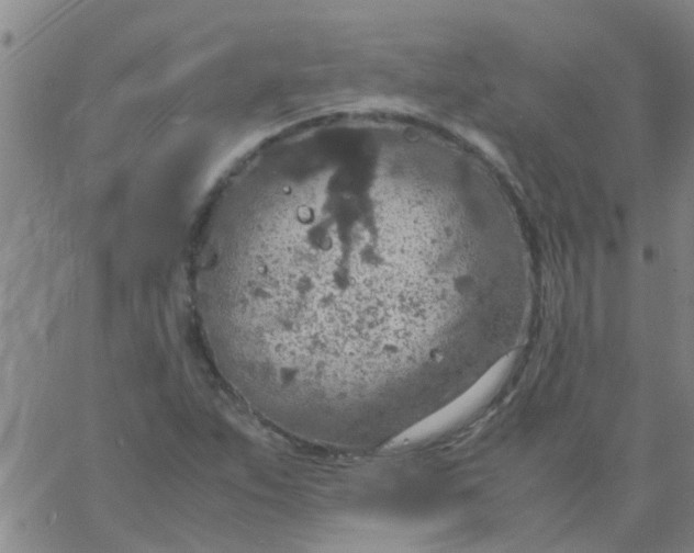 X0000061741263200512231451