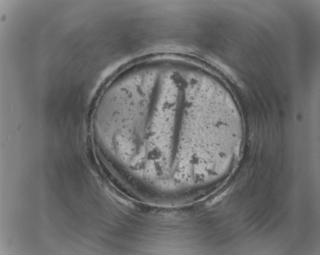 X0000061741264200512231451