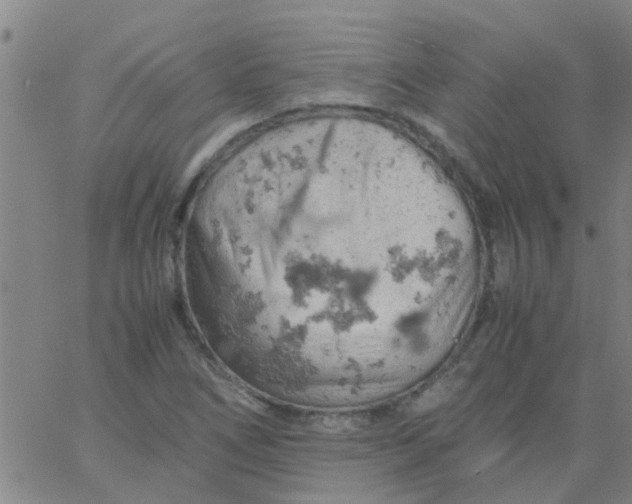 X0000061741266200512231451