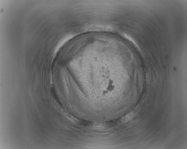 X0000061741267200512231451