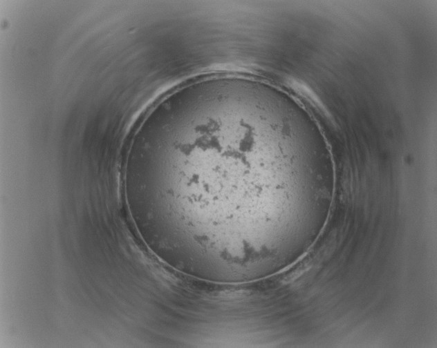 X0000061741268200512231451