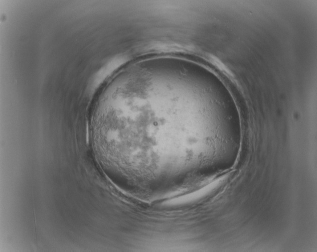 X0000061741269200512231451