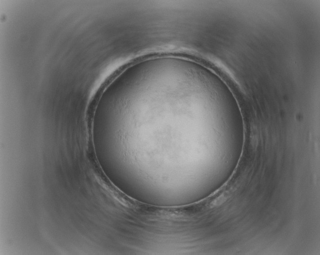 X0000061741270200512231451