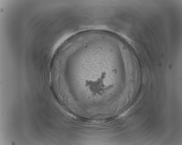 X0000061741271200512231451