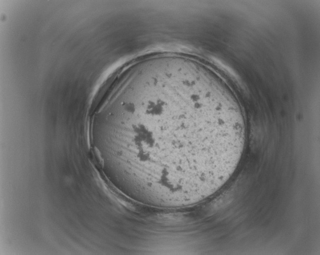 X0000061741272200512231451