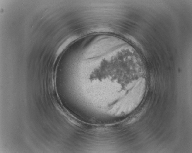 X0000061741274200512231451