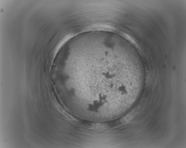 X0000061741275200512231451