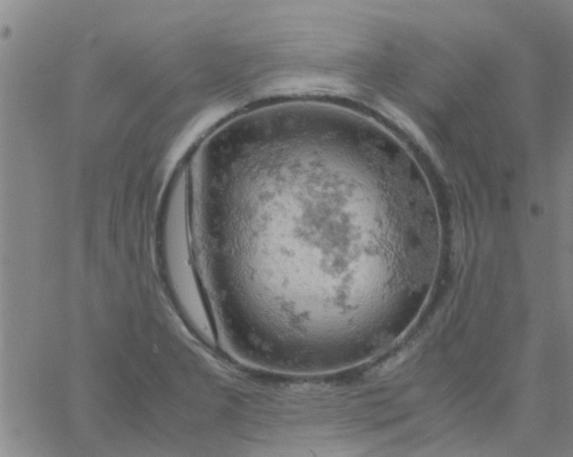 X0000061741277200512231451