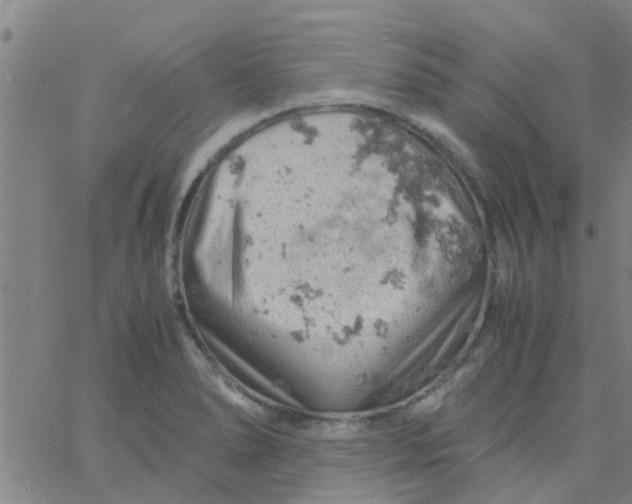 X0000061741278200512231451