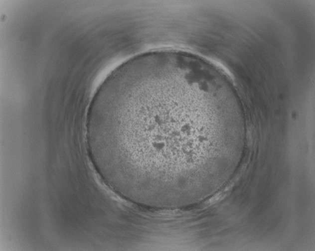 X0000061741279200512231451