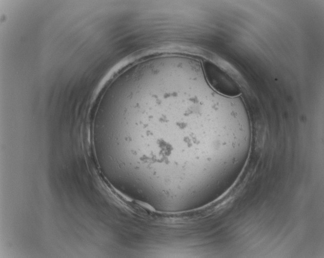 X0000061741280200512231451