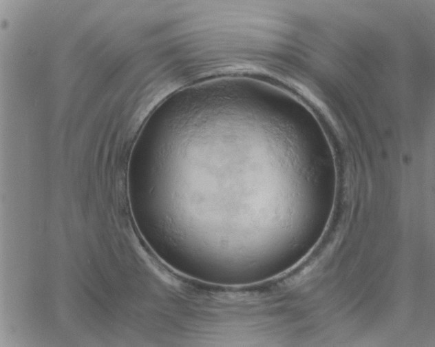 X0000061741281200512231451