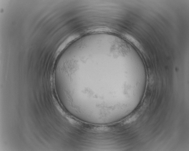 X0000061741282200512231450