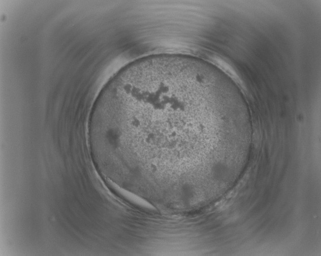 X0000061741283200512231450