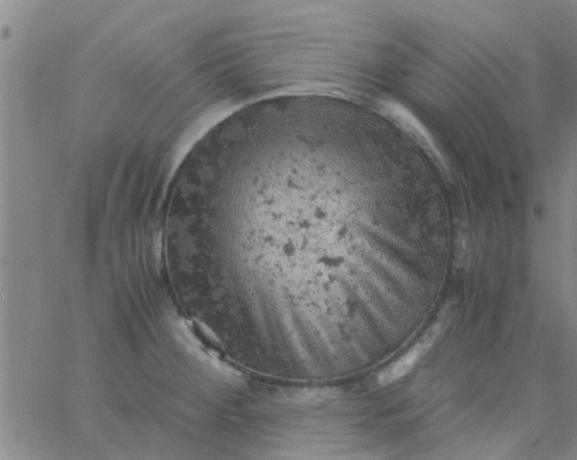 X0000061741284200512231450