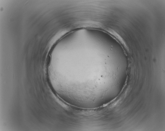 X0000061741285200512231450