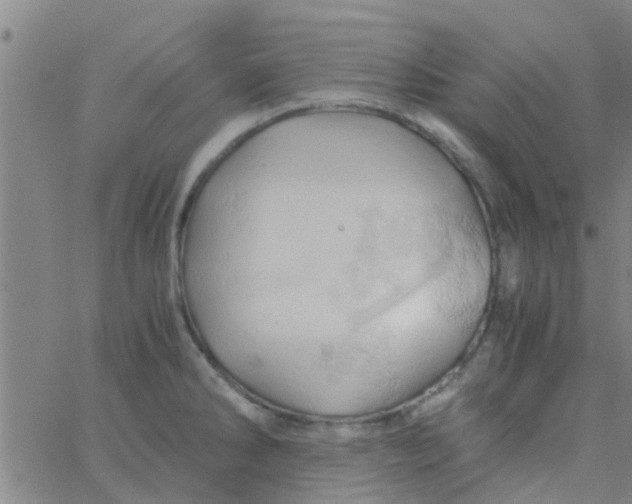 X0000061741286200512231450