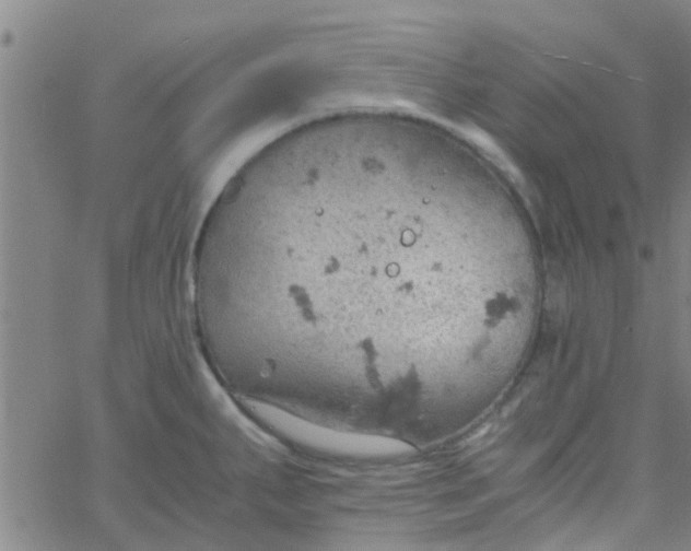 X0000061741287200512231450