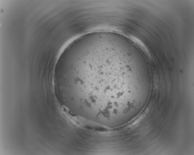 X0000061741288200512231450