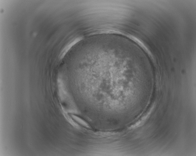 X0000061741289200512231450