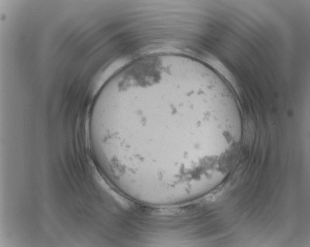 X0000061741290200512231450