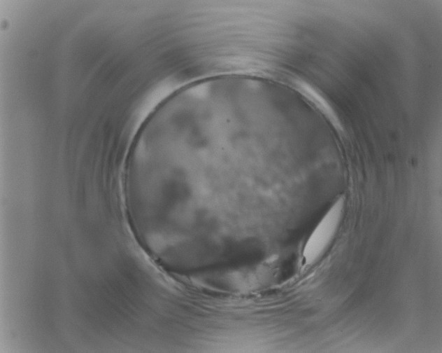 X0000061741291200512231450