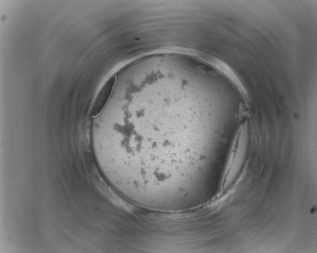 X0000061741292200512231450