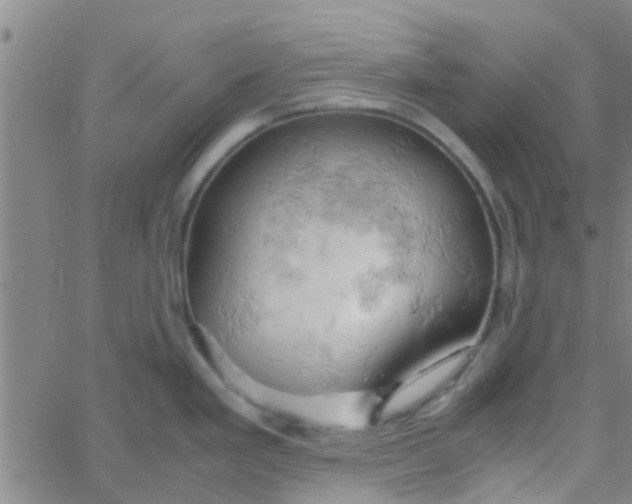 X0000061741293200512231450