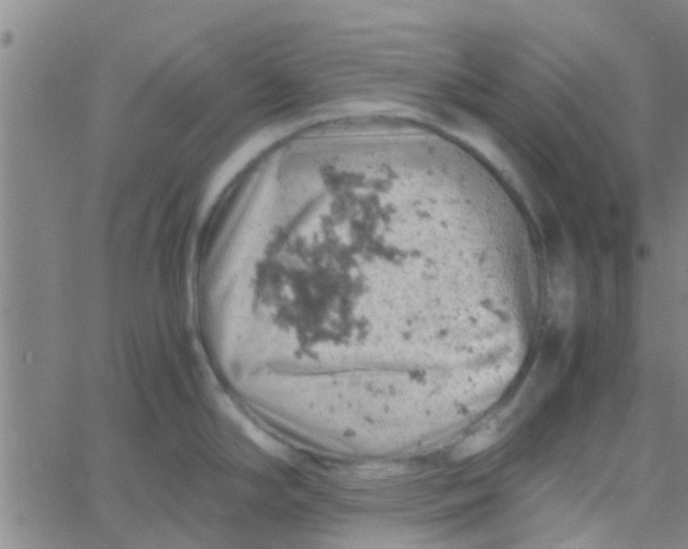 X0000061741294200512231450