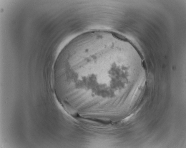 X0000061741295200512231450