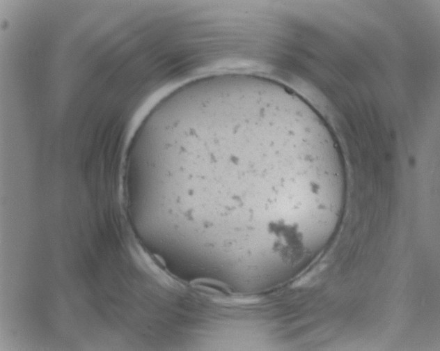 X0000061741296200512231450