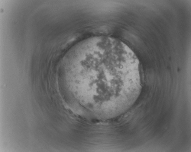 X0000061741297200512231449