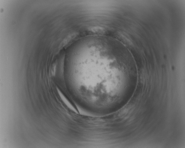 X0000061741298200512231449