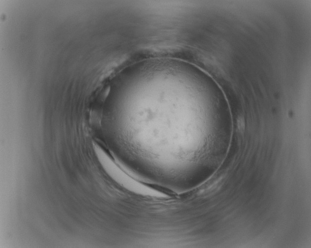 X0000061741300200512231450