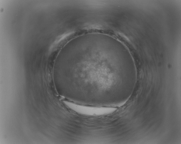 X0000061741303200512231450