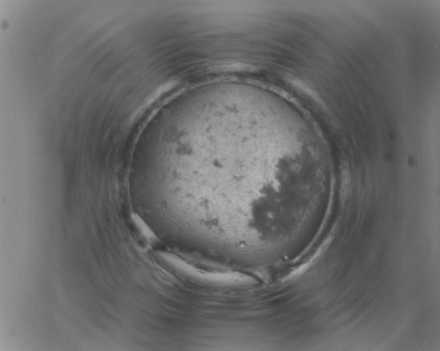 X0000061741305200512231450