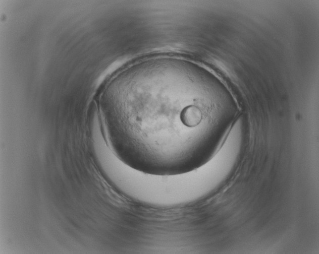 X0000061741308200512231450